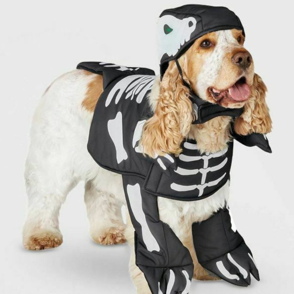 HIDE and EEK light up black and white T-Rex skeleton costume XL